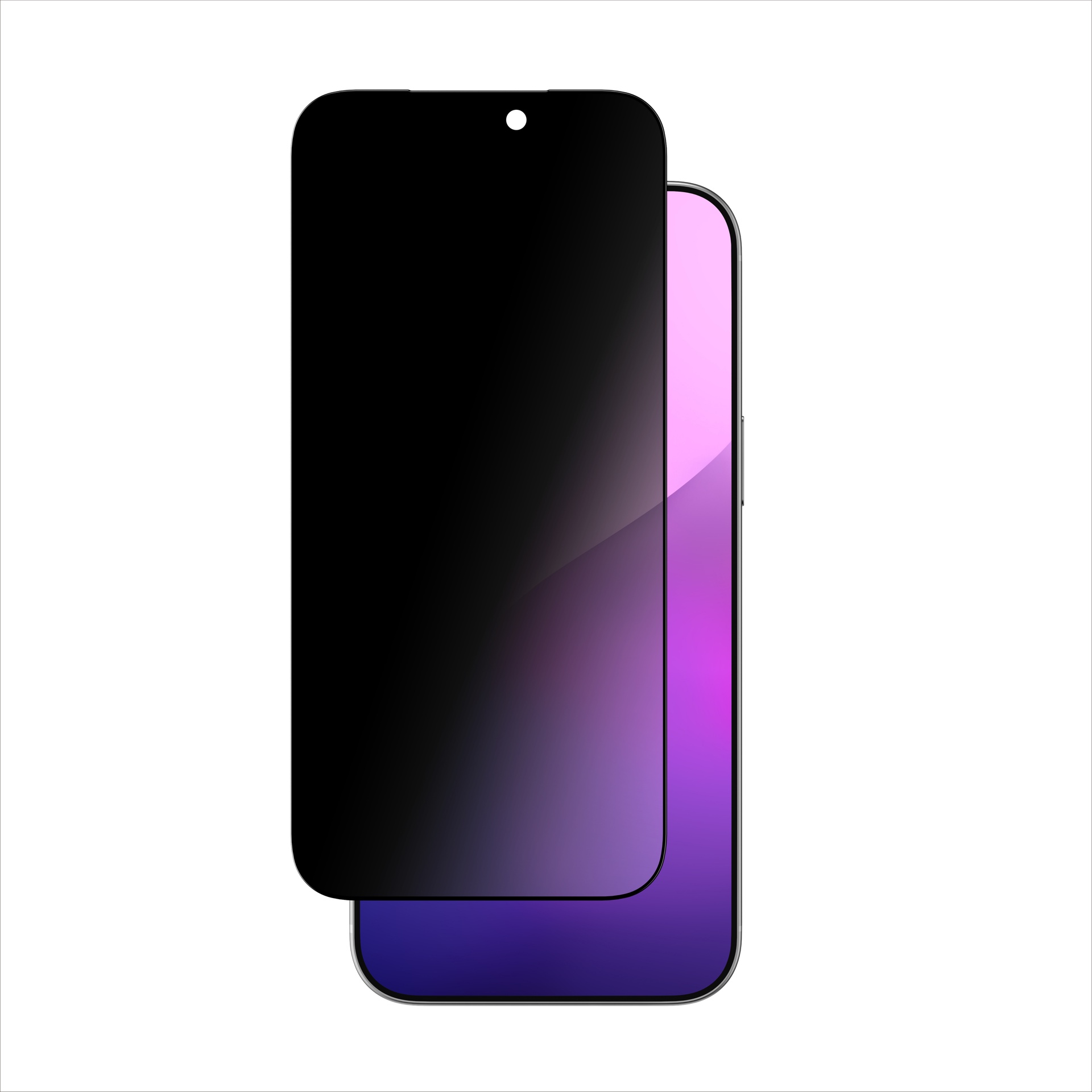 FULL-SCREEN PRIVACY PROTECTION